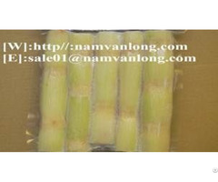 Frozen Sugarcane From Viet Nam