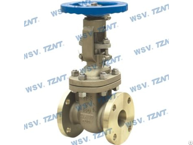 Nab C95800 Gate Valve