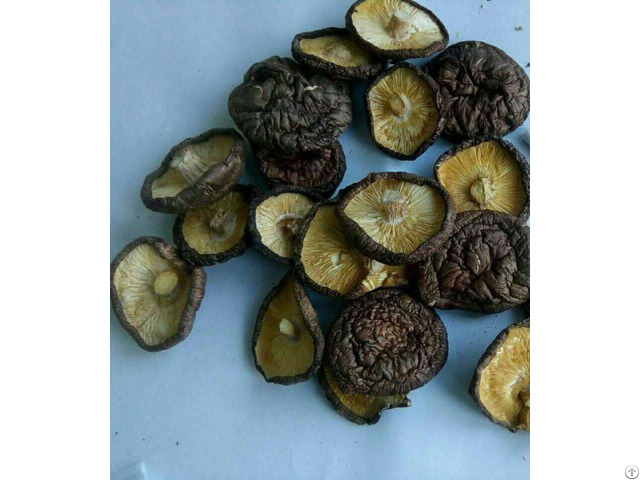 Dried Mushrooms From China