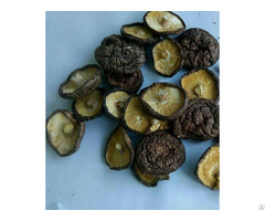Dried Mushrooms From China