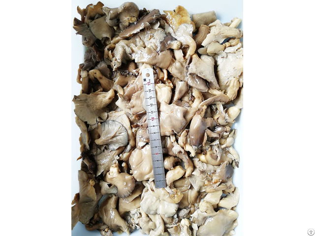 Pleurotus Ostreatus In Brine