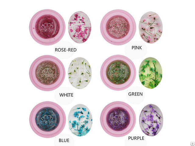 3d Dried Flower Gel Polish Decoration Transparent