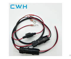 Cwh Customized Part Auto Engine Wire Harness Cable Assembly