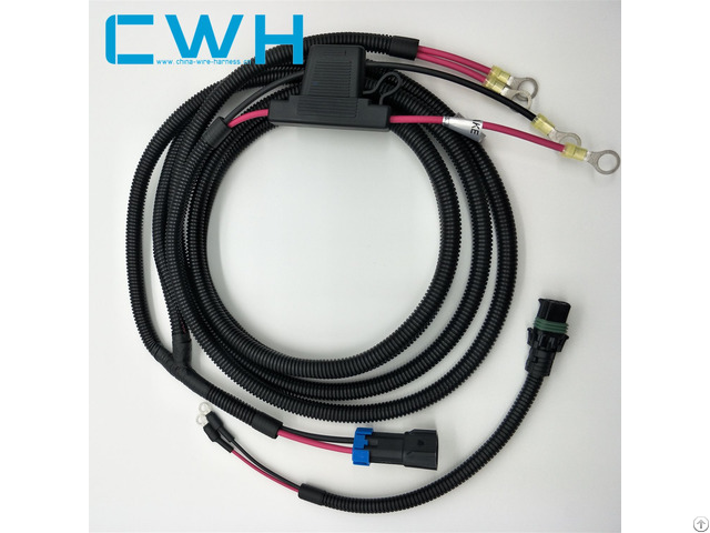 Professional Oem Custom Wire Harness Fuse Holder Automotive R Insulation Terminal Cable Assembly