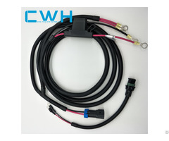 Professional Oem Custom Wire Harness Fuse Holder Automotive R Insulation Terminal Cable Assembly