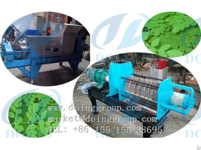 Moringa Seeds Oil Press Machine