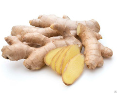Ginger Extract Granules