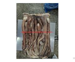 Frozen Squid Tentacles Origin China