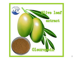 Herbal Product Oleuropein Hydroxytyrosol 20 Percent From Olive Leaf