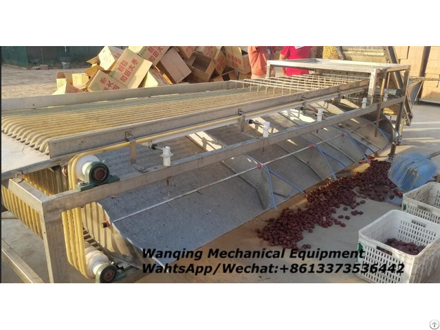 West Plum Sorting Machine Industry Leader