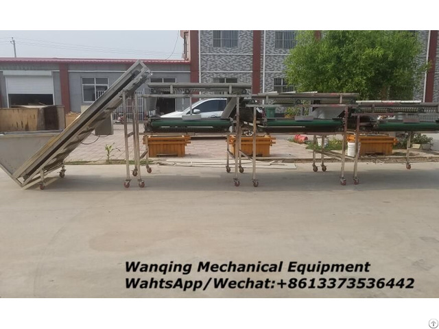 Crab Apple Sorting Machine Special Wholesale