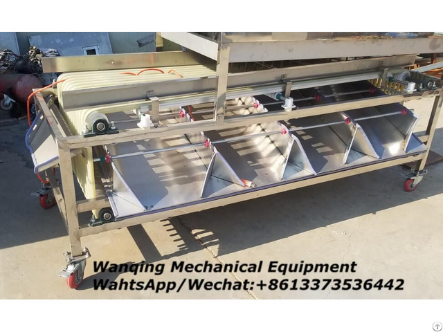 Wanqinglong Sorting Machine