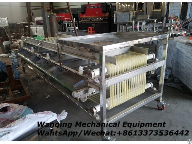 Waxberry Sorting Machine Industry Leader