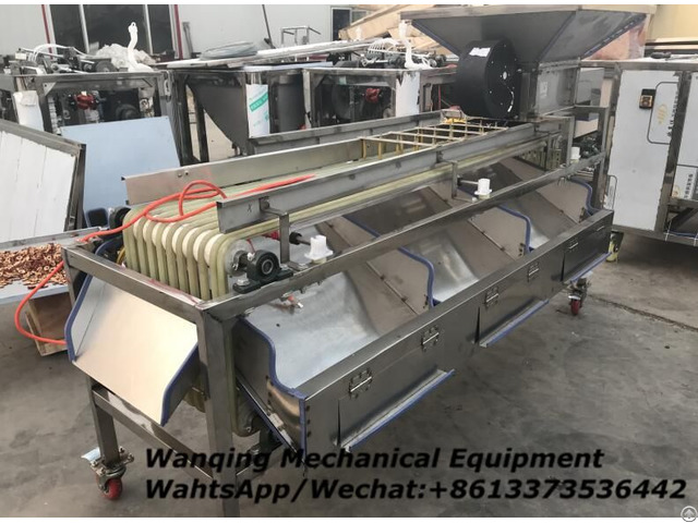 Longan Sorting Machine Good