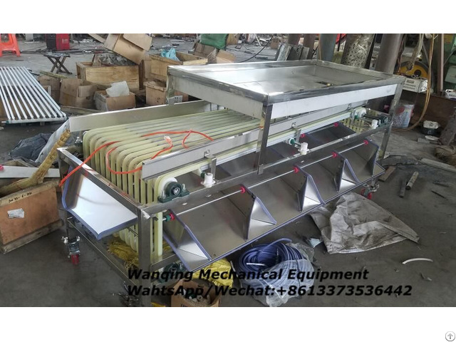 Waxberry Sorting Machine On Sale At A Low Price