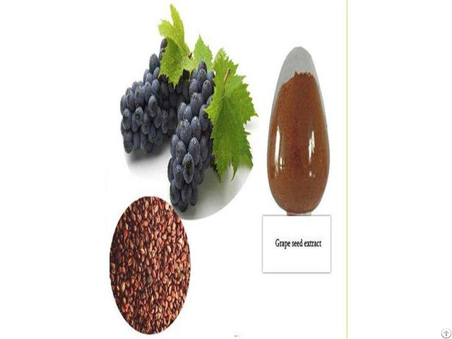 Catalogue Grape Seed Extract