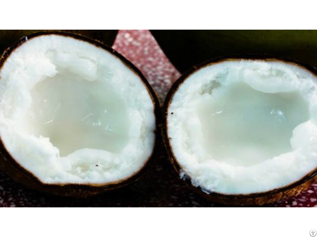 Wax Coconut Full Inside Viet Delta