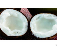 Wax Coconut Full Inside Viet Delta