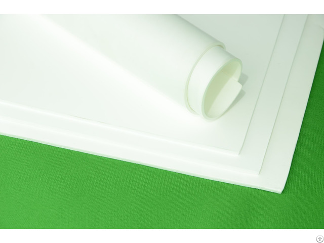 Expanded Ptfe Sheet