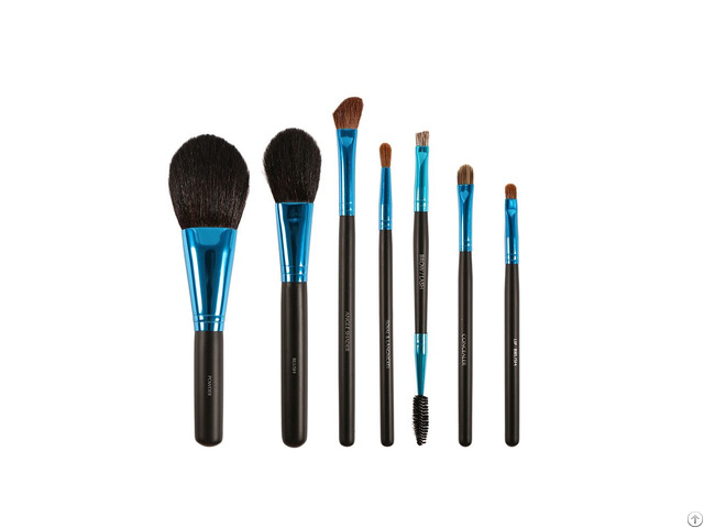 Essential Brush Set