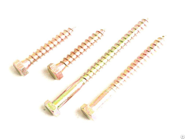 Stainless Steel Round Lag Screw