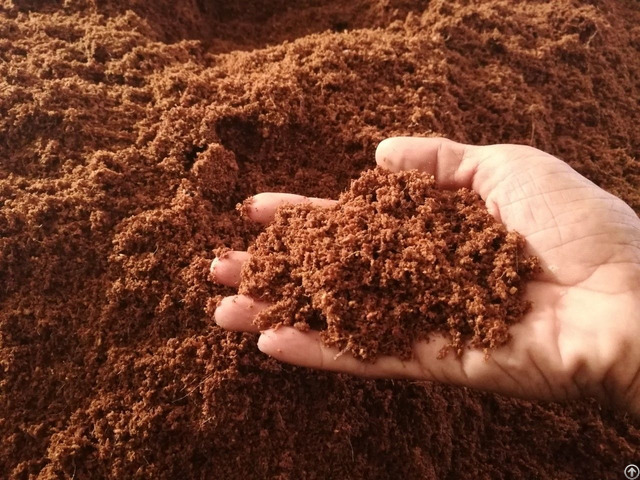 Natural Coco Peat