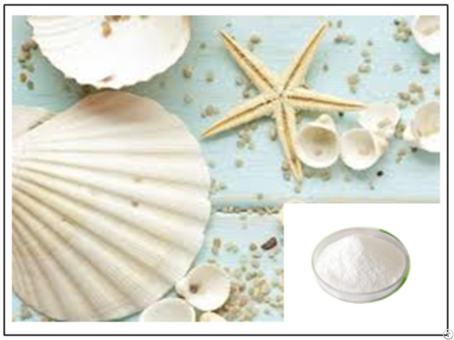 Seashells Powder