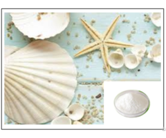 Seashells Powder