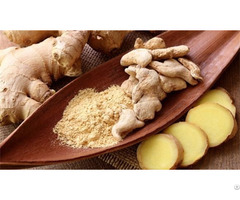 Spices Dried Ginger