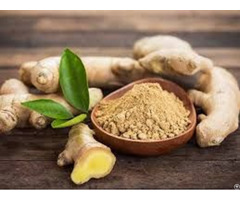Spices Ginger Exporters