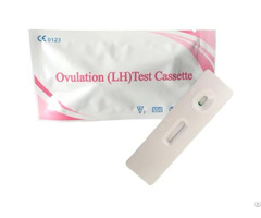 Pregnancy Hcg Test Cassette For Home Use