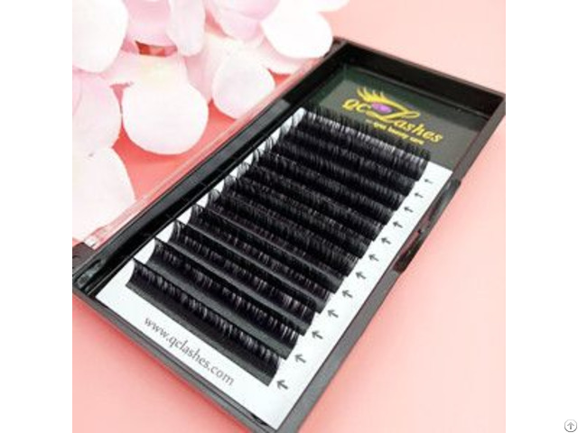 A Second Flowering Lashes Extensions