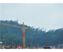 Qtz100 Tc6513 Trustworthy Self Erecting Fixed Hydraulic Construction Building Tower Crane