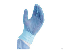 Vinyl Exam Glove Blue Powdered Free