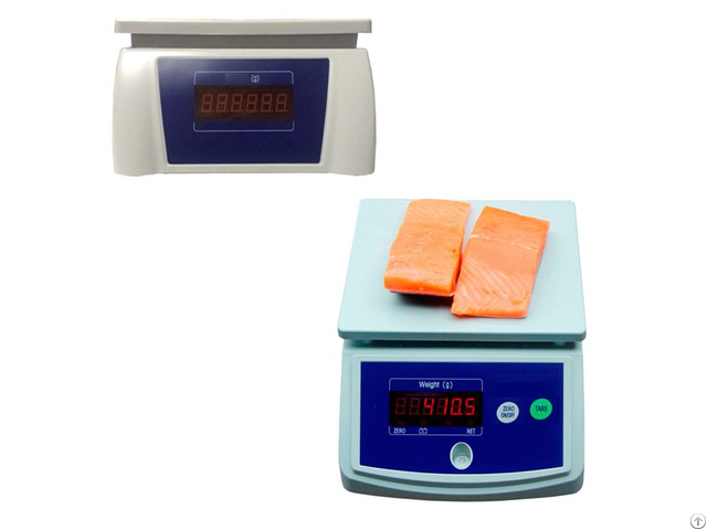 Waterproof Scale