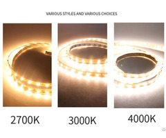 Led High Brightness And Ra 5050 Bare Board Low Voltage Light Strip Wholesale