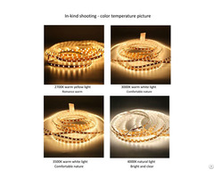 China Living Room Showcase 3528 Bare Board Low Voltage Led Light Strip Wholesale