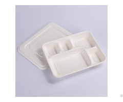 Sugarcane Lid For 5 Compartment Deep Tray