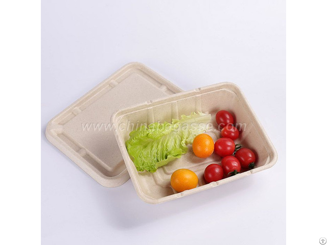 Sugarcane 1500ml Rectangle Container