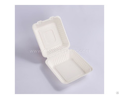 Biodegradable 8 Inch Bagasse Clamshell Pla Lamination