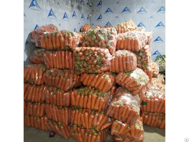 Vegetable Cold Room