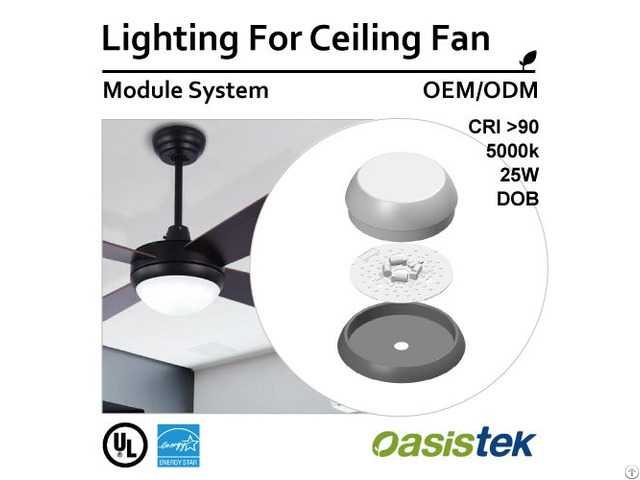 Lighting For Ceiling Fan Module System Oem Odm