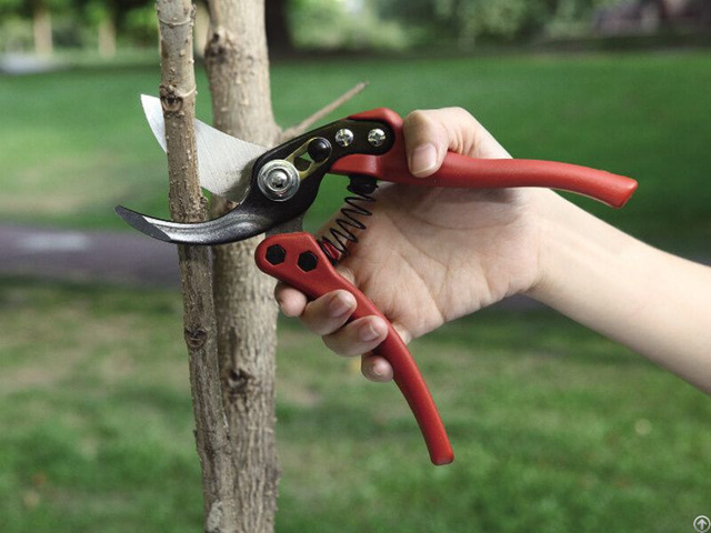 Professional Garden Hand Pruner 3169 1