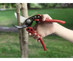 Professional Garden Hand Pruner 3169 1